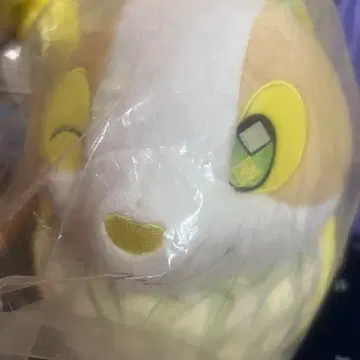 포켓몬 제일복권 B상 뺨을 쪼개는 원파치 봉제 인형 포켓몬스터