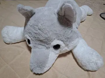 늑대 누워있는 BIG 봉제 인형