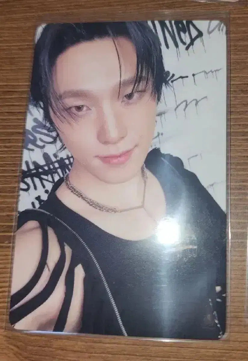 세븐틴 정규5집 캐럿반 디노 포카