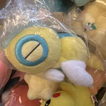 노코치 봉제 인형 포켓몬 핏 새상품 미개봉
