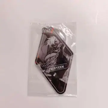 나침반 13 아크링 키링