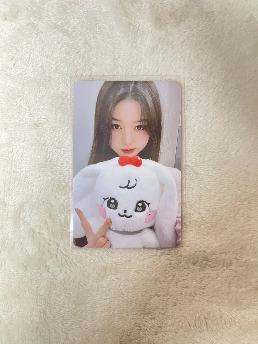 아이브 미니브 30cm인형 체리 포카