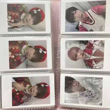 팬더 드래곤 하피카
