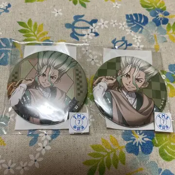 Dr.STONE 이시가미 치쿠루 캔뱃지 마루쿠지
