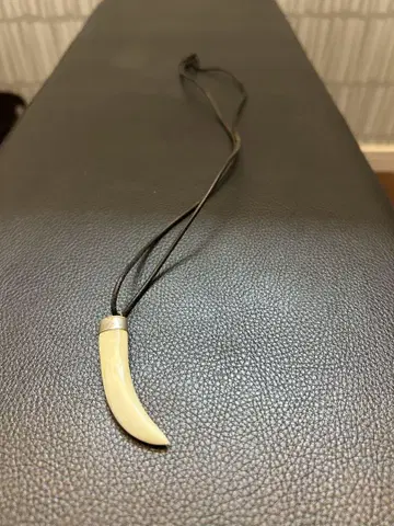 조니 뎁의 송곳니 목걸이