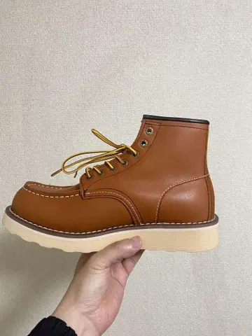 인기 모델 아이리쉬 세터 41 26.5cm
