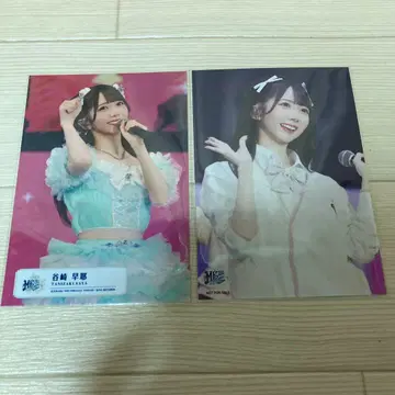 노이미 타니자키 사야 전국 투어 2024 드디어 같은 클래스 동봉 혜택