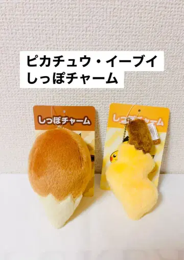 포켓몬 꼬리 참 이브이 피카츄