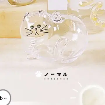 우리 아이는 아직 노멀
