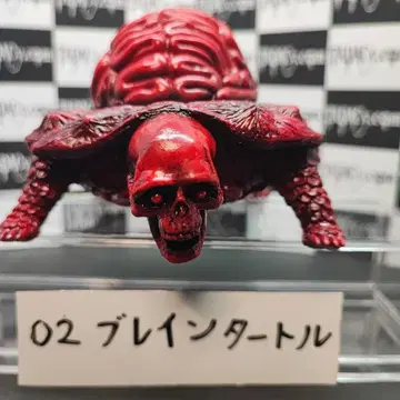 02 브레인 터틀