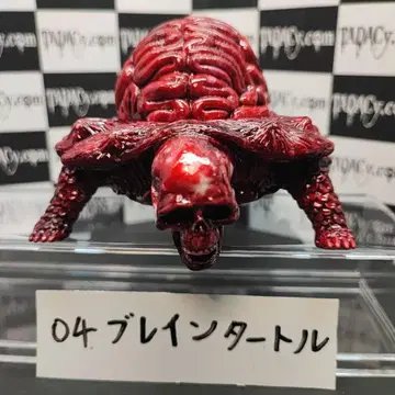 04 브레인 터틀