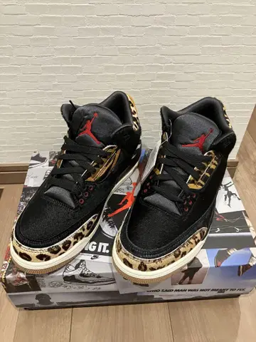 조던 3 레트로 SE
