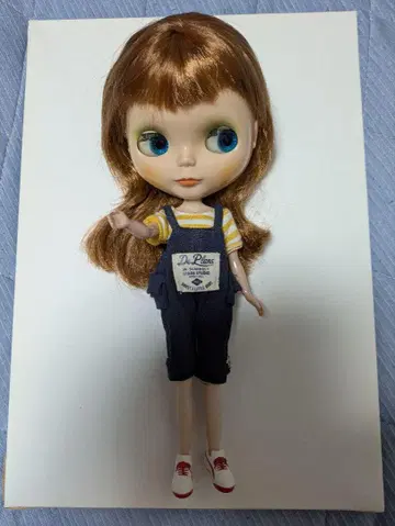 브라이스 아웃핏 세트