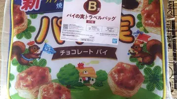 제일복권 롯데 B상 파이노미 트래블 백 플레이트
