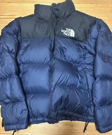 THE NORTH FACE 눕시 다운 자켓