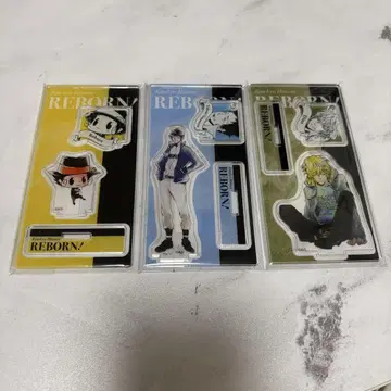 리본 REBORN 아크릴 피규어 & 참 디노 야마모토 다케시