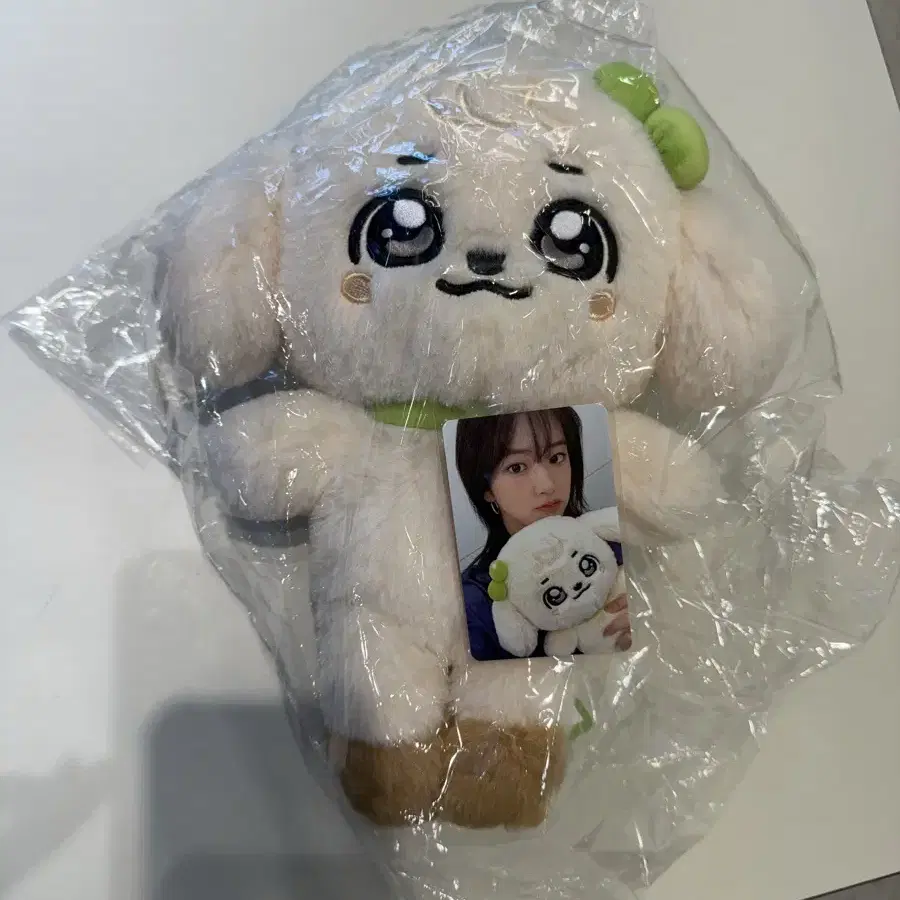 IVE ガウル ポップアップストアMINIVE FLUFFY PLUS 30渋谷 IVE ガウル minive POPUP 30cmぬいぐるみ トレカ - メルカリ