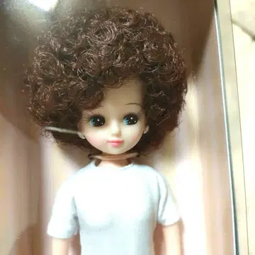 리카짱 캐슬 2025년 2월 S 캐슬 컬렉션 13 빨간색 홍차 최종