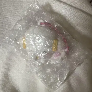 산리오 시크릿 참 코기뭉