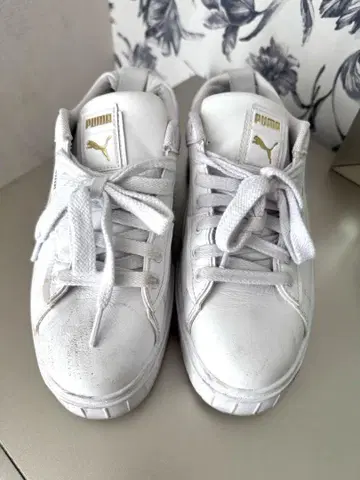 푸마 칼리 웨지 우먼 스니커즈 통굽 WHITE 24cm