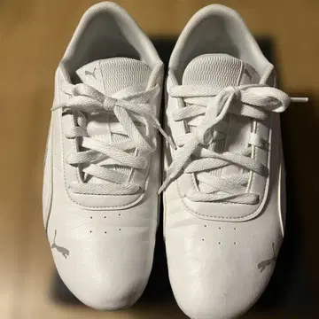 푸마 BMW 콜라보 스니커즈 화이트 26.5cm 푸마