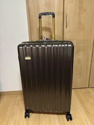 수트 케이스 L 사이즈 캐러멜 카본 캐리어 백 캐리어 케이스