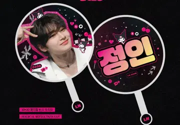 straykids 스키즈 BIG 부채 아이엔 정인