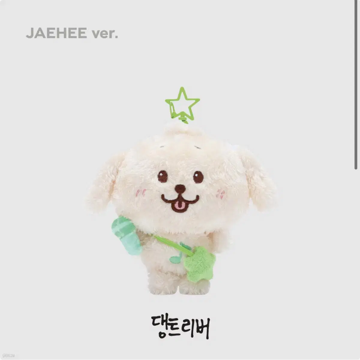 NCT | 엔시티 Nct Wish Wishdoll Jaehee Daengtriever on