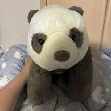쿠타리 팬더 통통 울트라 BIG 봉제 인형 그레이