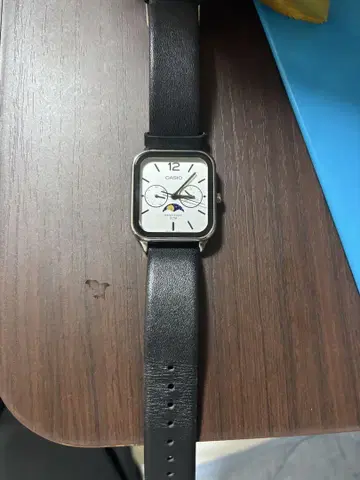 CASIO STANDARD MENS 카시오 스탠다드 MTP-M305