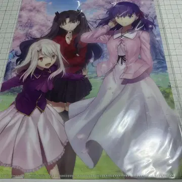 Fate 클리어 파일 마토 오동나무 벚꽃 토사카 린 이리야