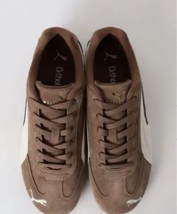 Puma 스피도 캣 OG 스니커즈 브라운 23cm
