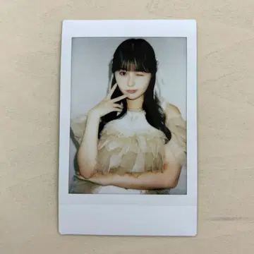 돈치키 사키나 폴라로이드
