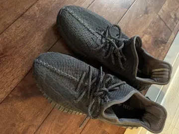 YEEZY BOOST 350 이지 부스트
