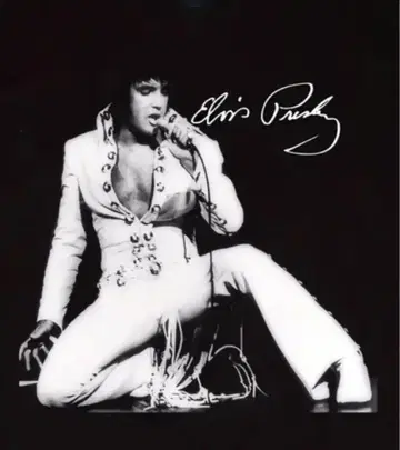 엘비스 프레슬리 티셔츠 ElvisPresley 로커빌리 블루스