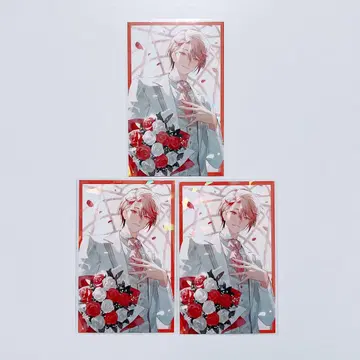 [ N-5 ] 니지산지 세라프 다즐 정원 준 브라