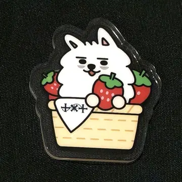 TXT 투바 욘몬 푸르바투 아크릴 배지 후쿠오카