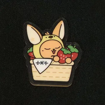 TXT 투바 팬츄 풀바투 후쿠오카 아크릴 배지