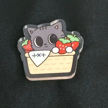 TXT 투바 다고냥 푸루바투 아크릴 배지 후쿠오카