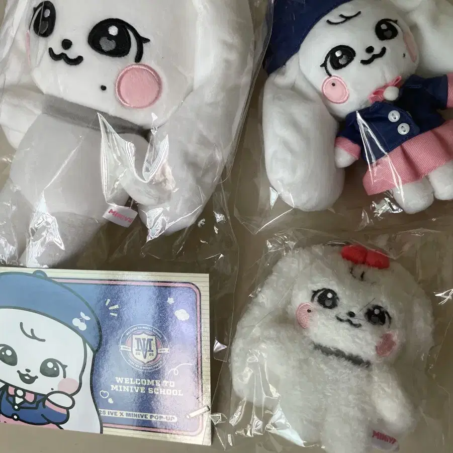 IVE | 아이브 Ive minive goods on Bunjang Global Site.