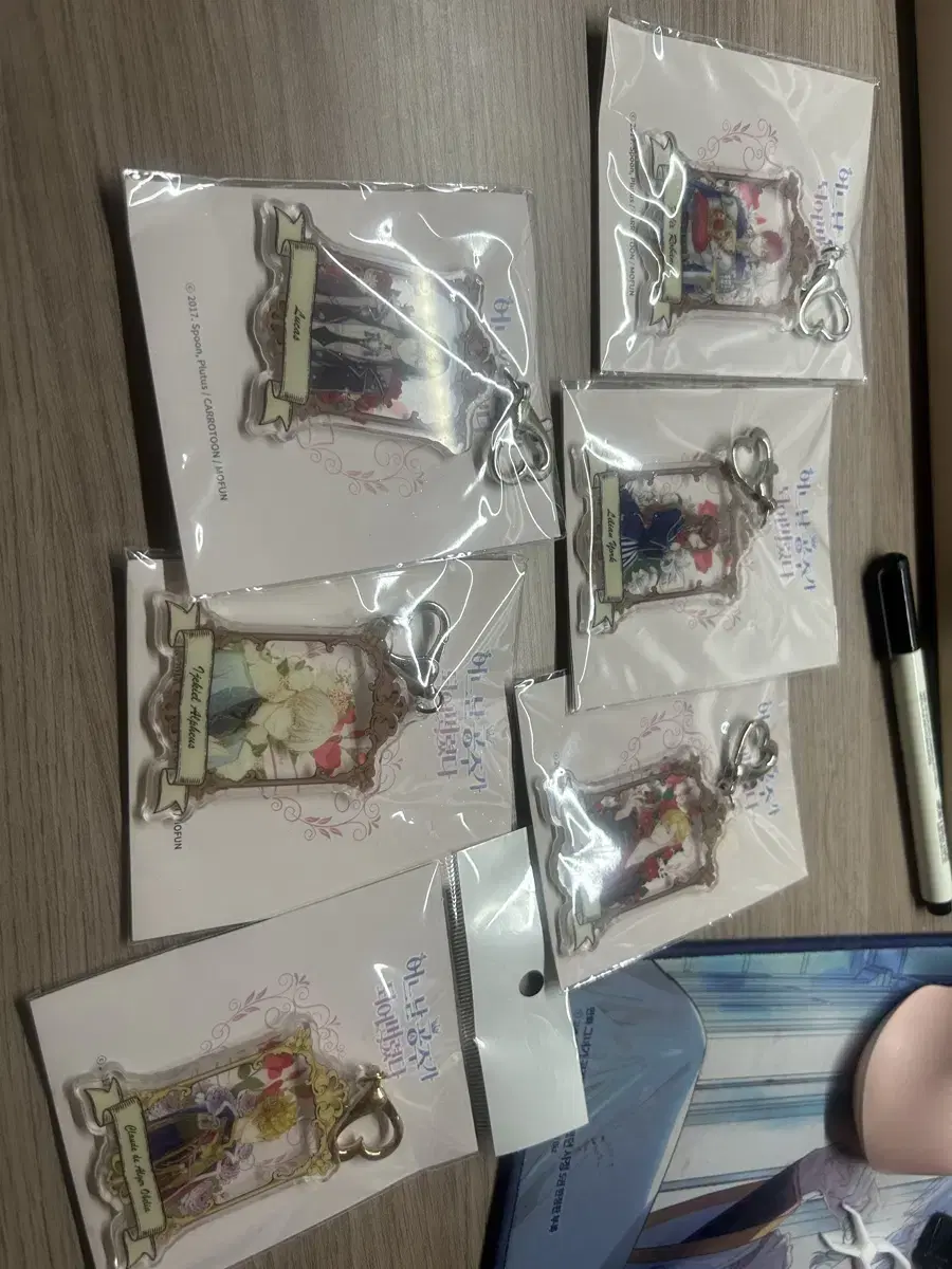 어느날 공주가 되어버렸다(어공주) 모펀 아크릴