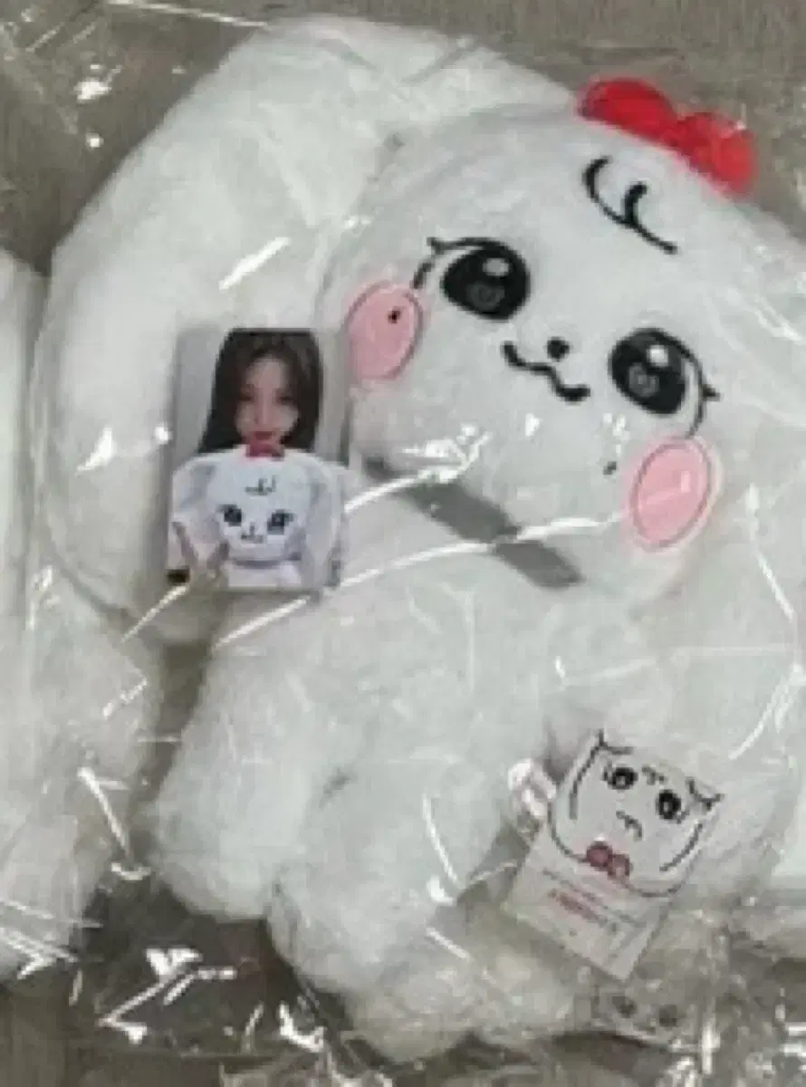 최저가)아이브 체리 미니브 인형 포카 포함 판매
