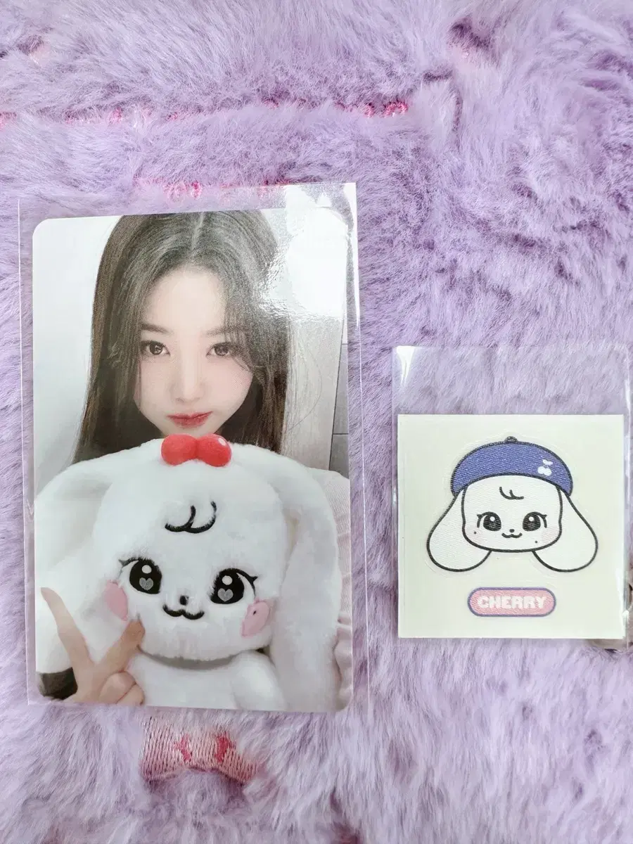 아이브 미니브 스쿨 30센티 인형 포카 원영 당일 발송