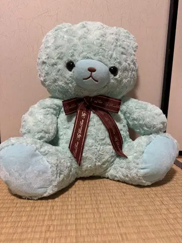 마이 로즈 베어 민트 그린 테디 베어 곰 봉제 인형