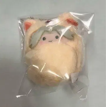싸개 타피누이  고쿠지 하야토 재고 4개