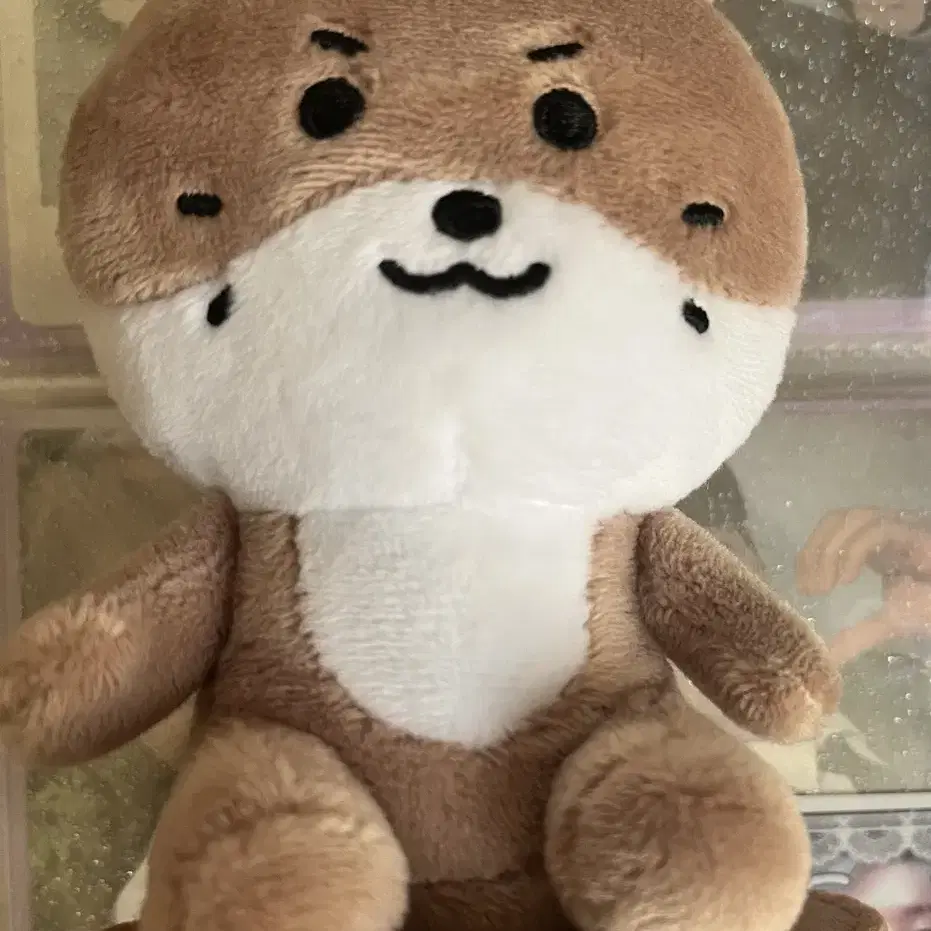 匿名配送 follow again ディノ miniteen CHANDALEE 匿名配送 follow again ディノ miniteen CHANDALEE - メルカリ