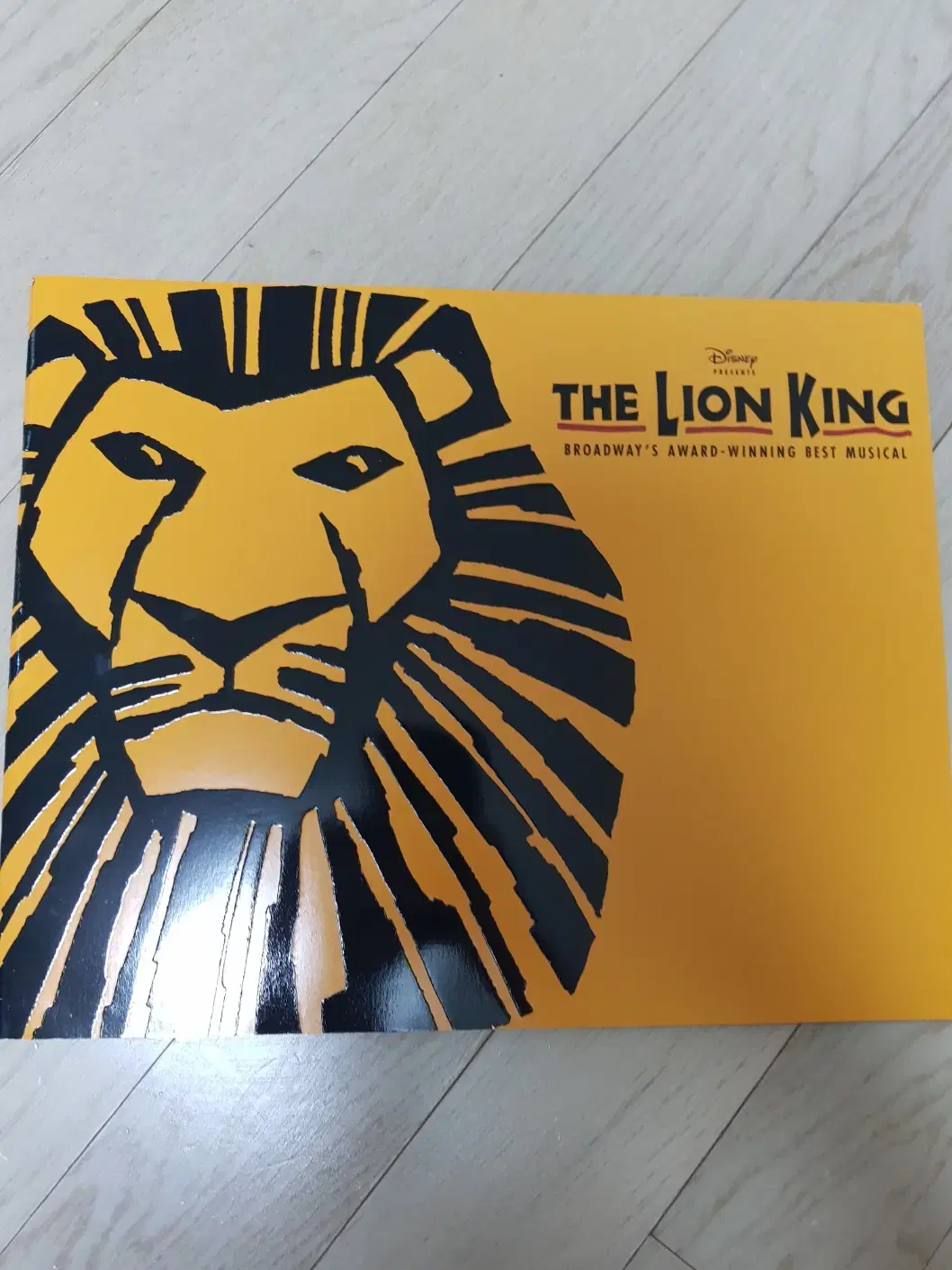The Lion King Broadway Program Art Book
