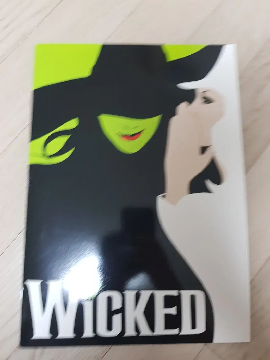 Musical Wicked New York Broadway Program Art Book
