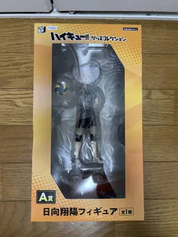 하이큐!! 히나타 쇼요 A상 피규어