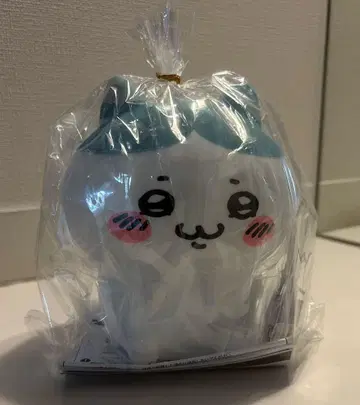 치이카와 (먼작귀) 하치와레 룸 라이트